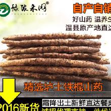 農(nóng)產(chǎn)品批發(fā)市場中的山藥產(chǎn)業(yè)鏈解析 從產(chǎn)地廠家到終端消費